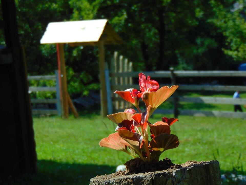 Forest Lodge On The Pyramid Visoko Bagian luar foto