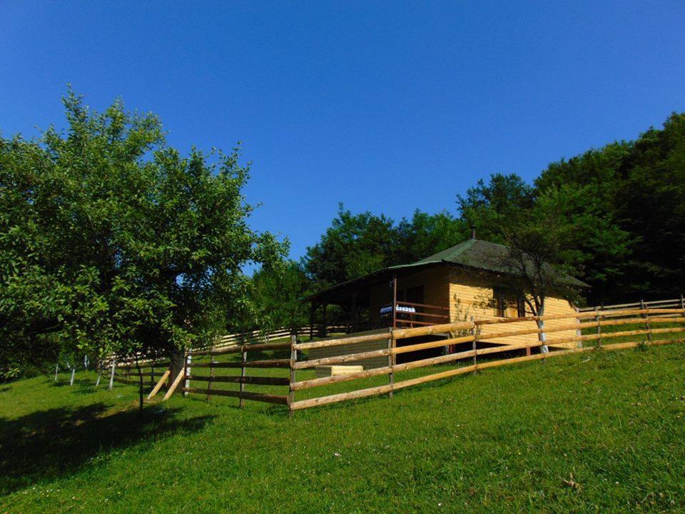 Forest Lodge On The Pyramid Visoko Bagian luar foto